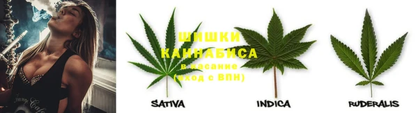 2c-b Горняк