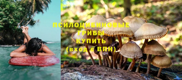 бошки Горнозаводск
