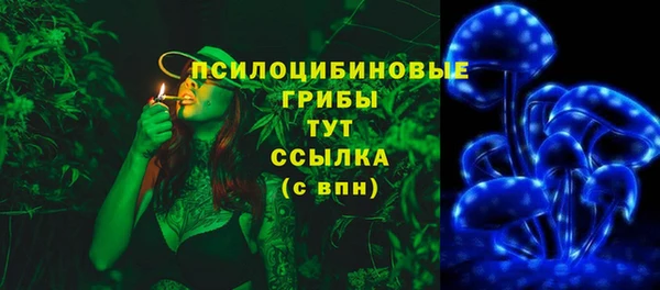 2c-b Горняк
